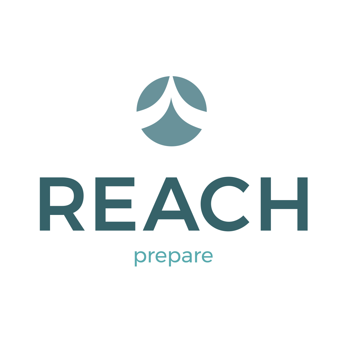 REACH Prepare.png